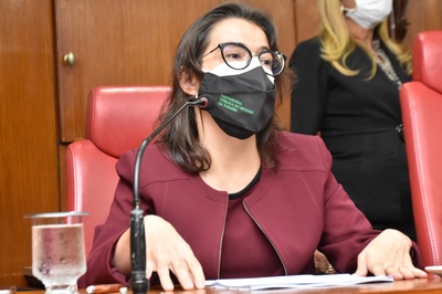 01.09.2021-Sessão Especial- Sistema Municipal de Cultura-Ft.Olenildo Nascimento; (101).JPG