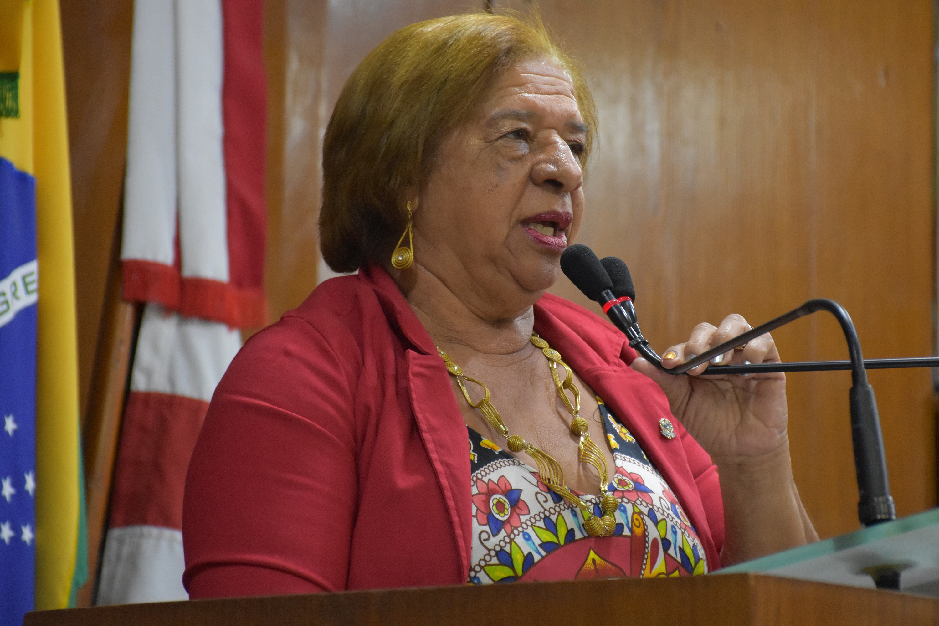 02.10.2019_SessãoOrdinária. Olenildo (16).JPG