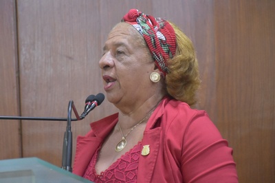 04.03.2020_Sessão Ordinária. Olenildo (46).JPG