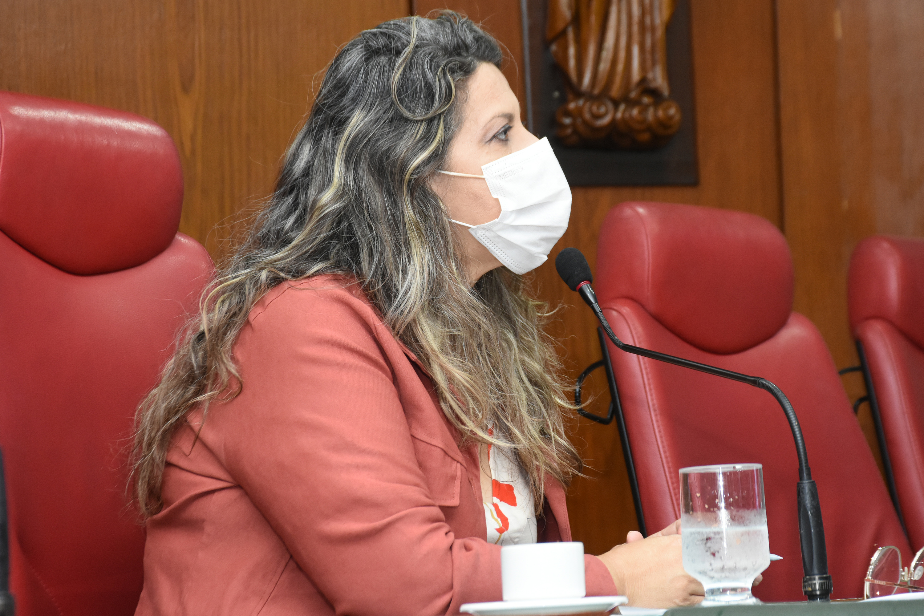 04.10.2021-Audiência CPI Banda Larga Ft. olenildo Nascimento (10).JPG