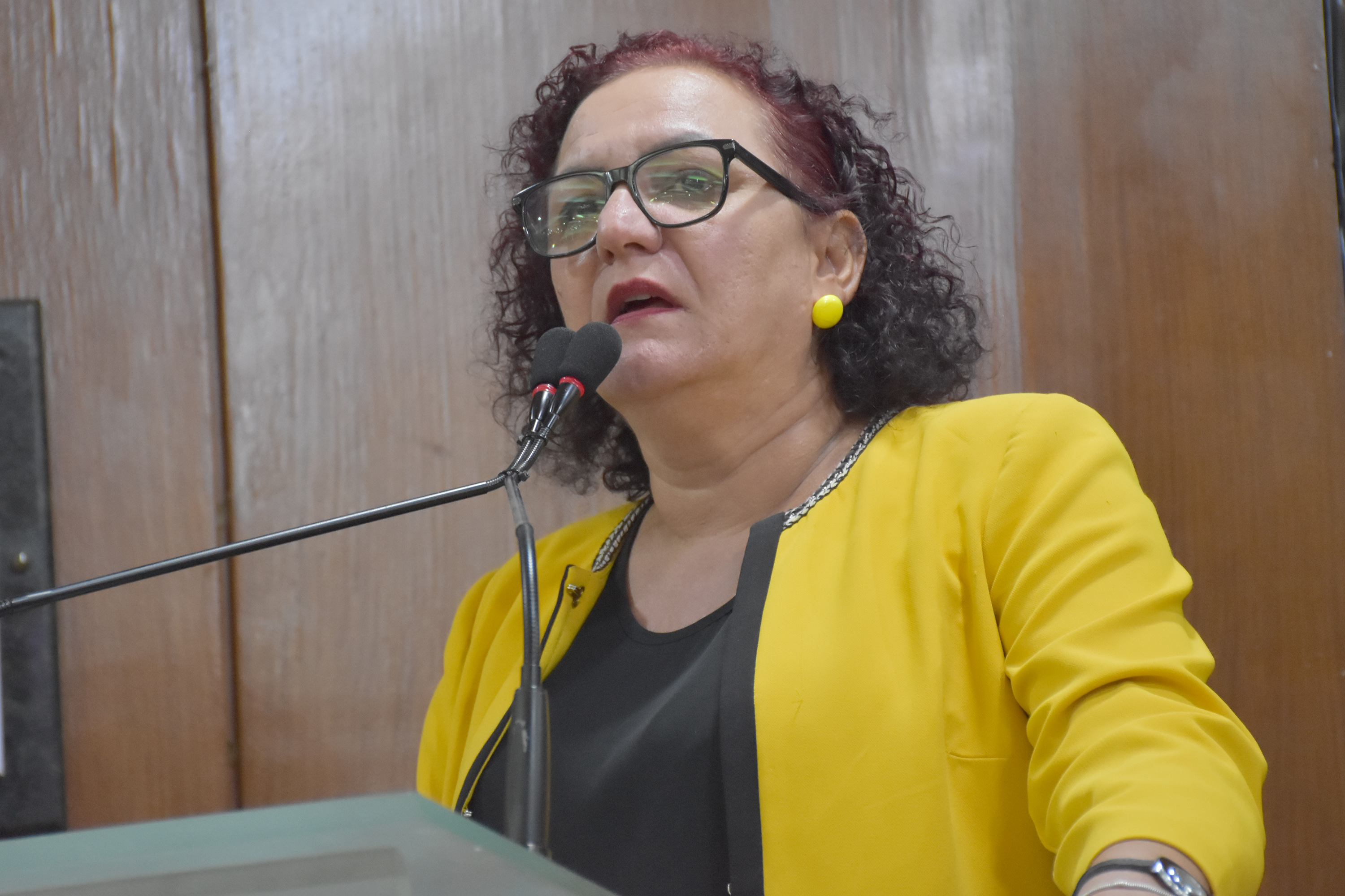 05.11.2019_Sessão Ordinária. Olenildo (105).JPG