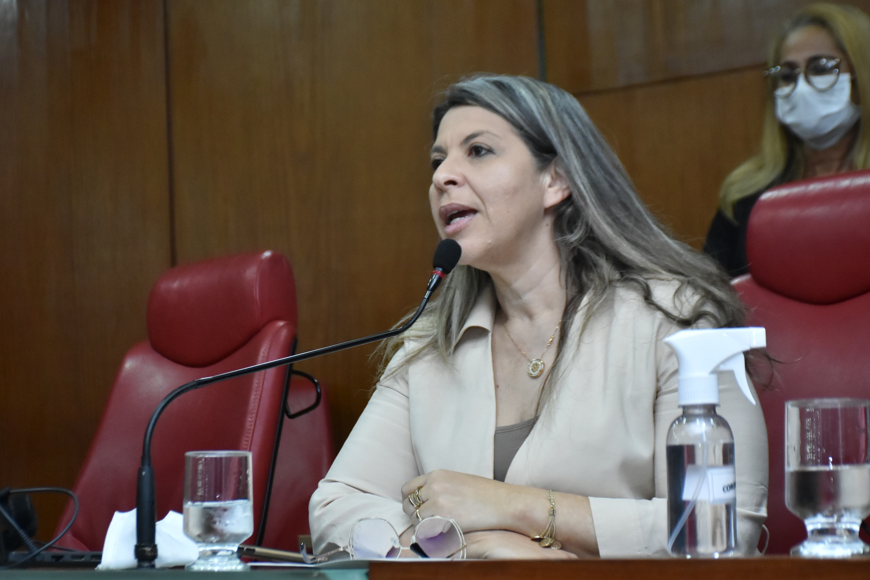 08.09.2021_ Sessão Especia,.l  Linguagem Neutra nas Escolas Ft-Olenildo Nascimento (15).JPG