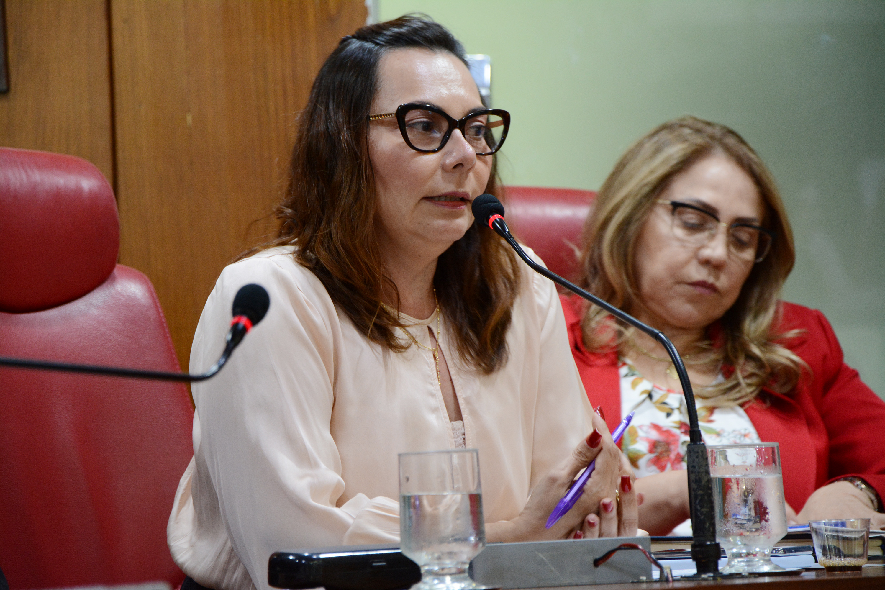 11.03.2020_AP_Revogação_Lei_AliençãoPartenal_ft_julianasantos 133.JPG