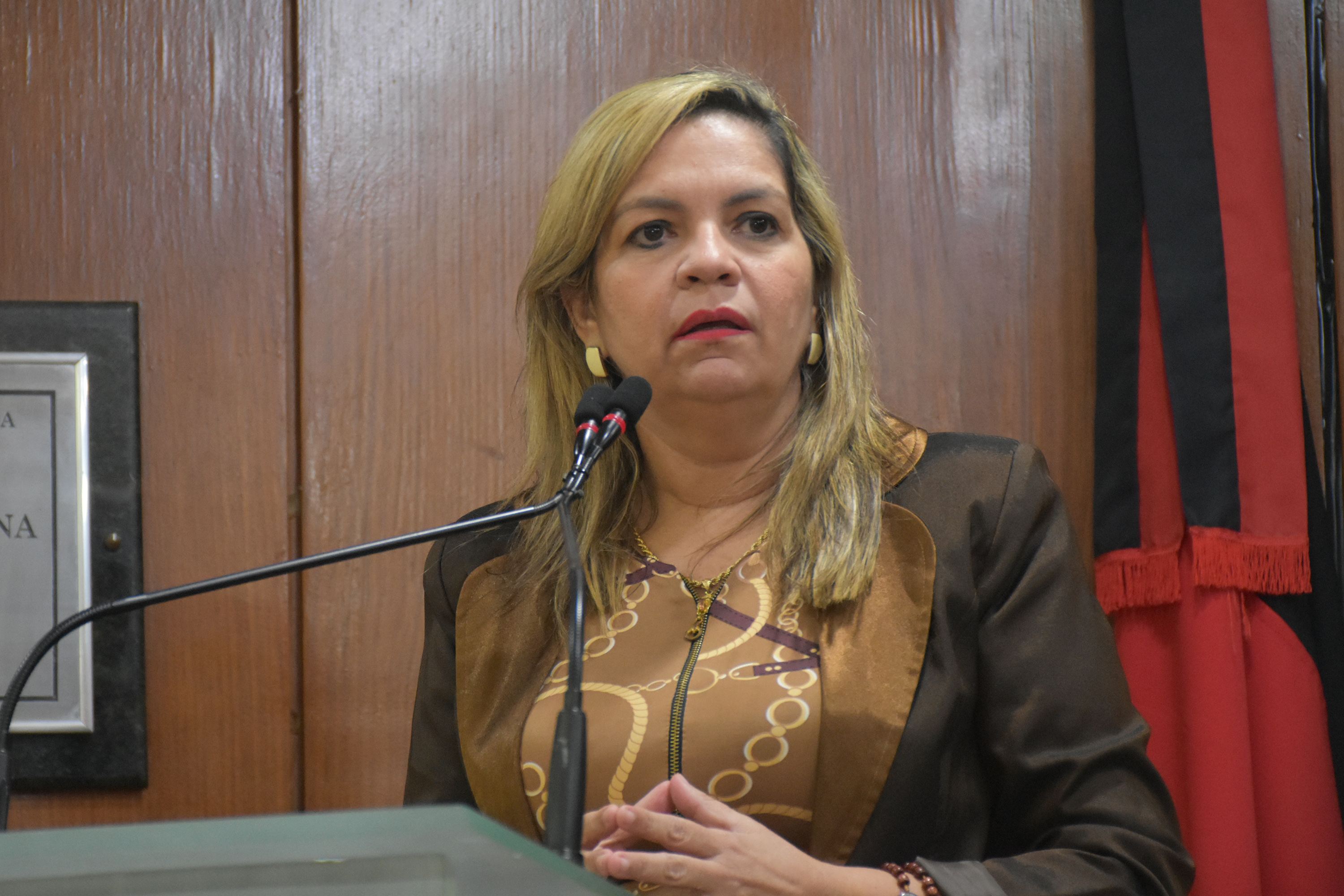 12.03.2020_Sessão Ordinária. Olenildo (71).JPG