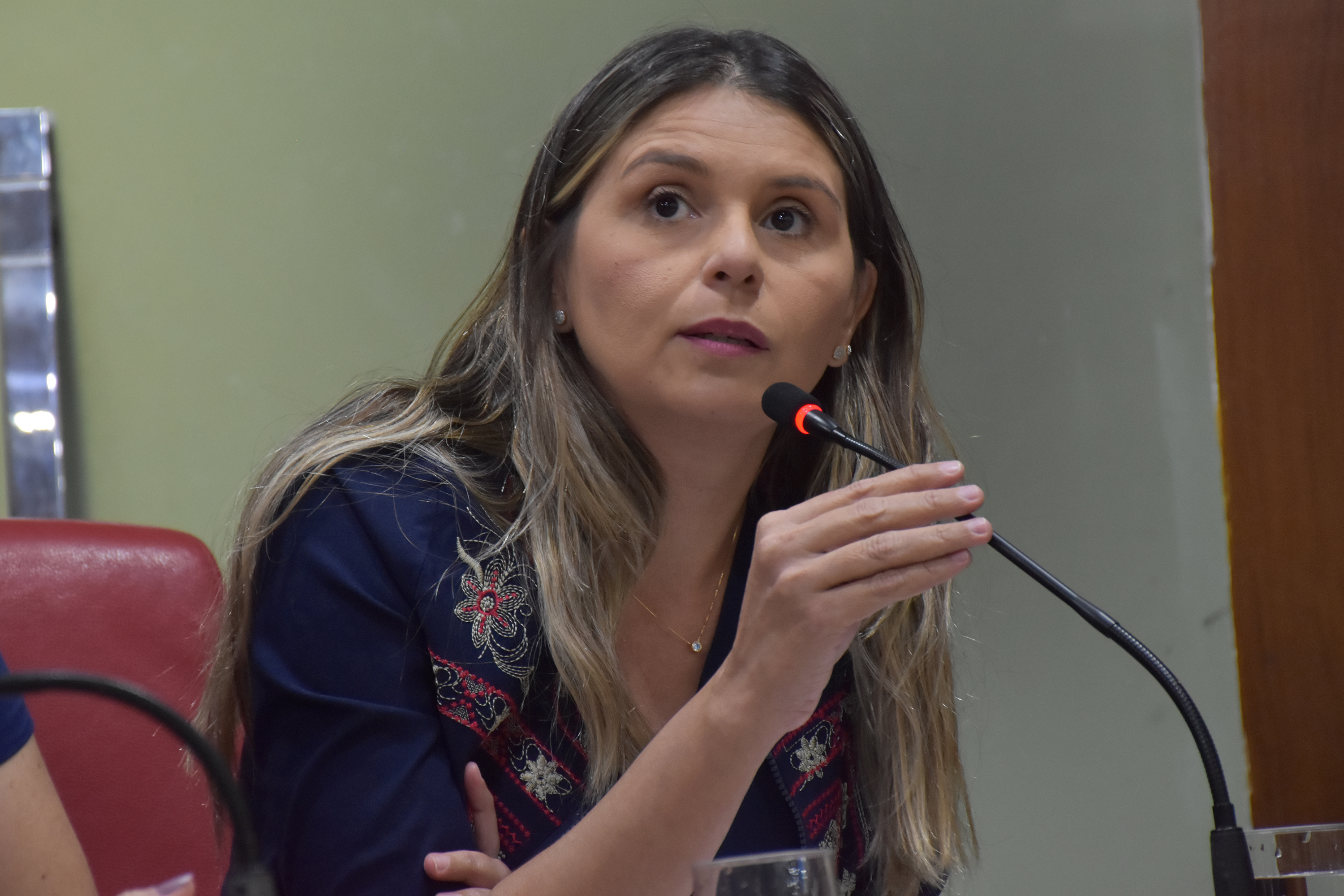 12.11.2019_Audiência Pública LOA 2020. Olenildo (34).JPG