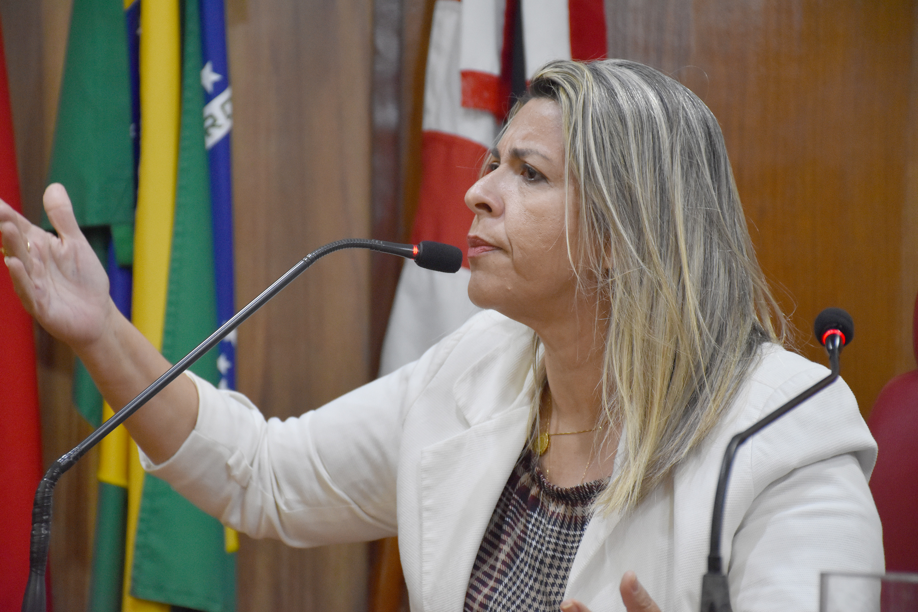 15.10.2019_Sessão Ordinária. Olenildo (121).JPG