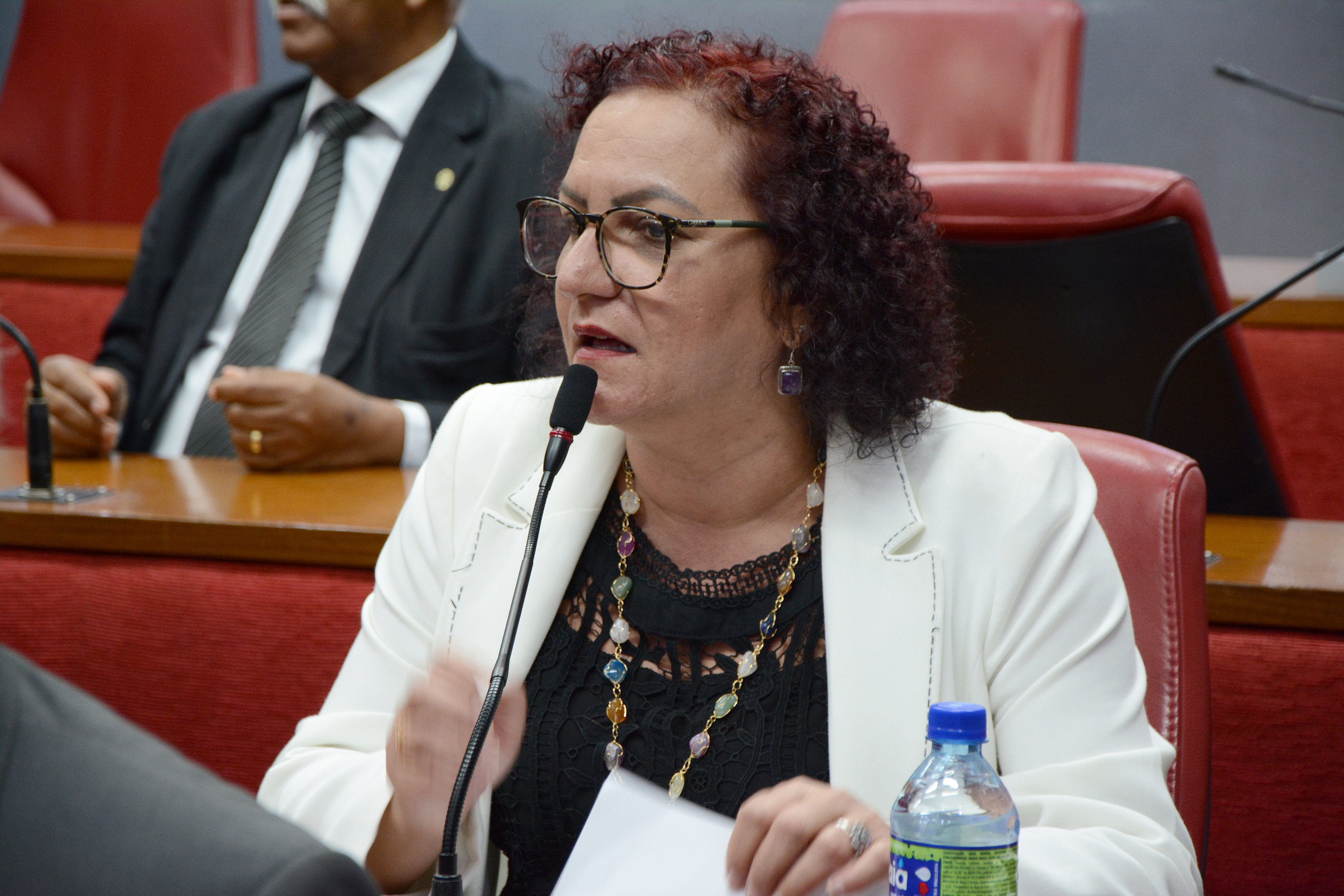 18.09.19_SessãoOrdinária_ft_julianasantos 045.JPG