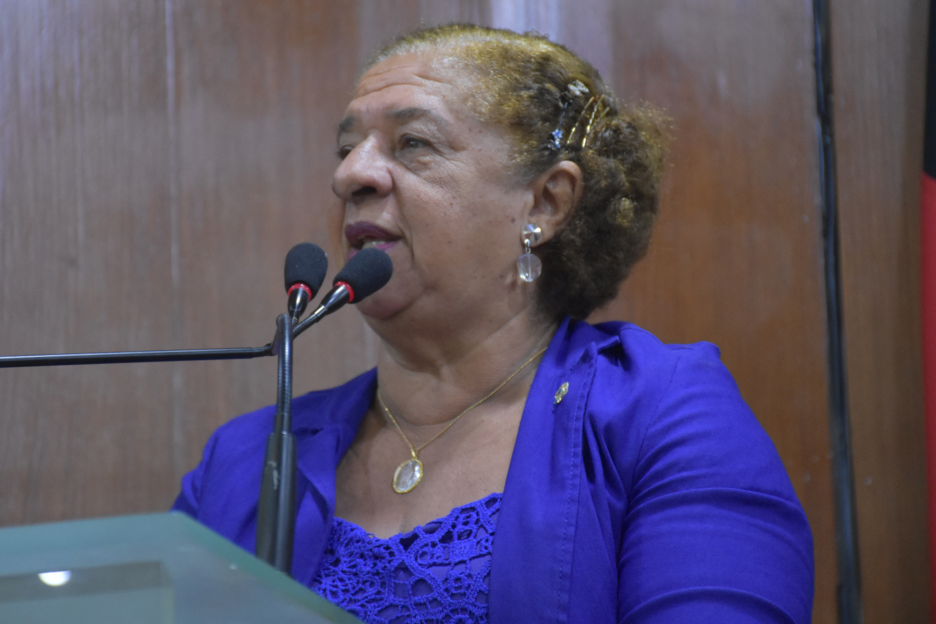 19.09.2019_SessãoOrdinária. Olenildo (96).JPG