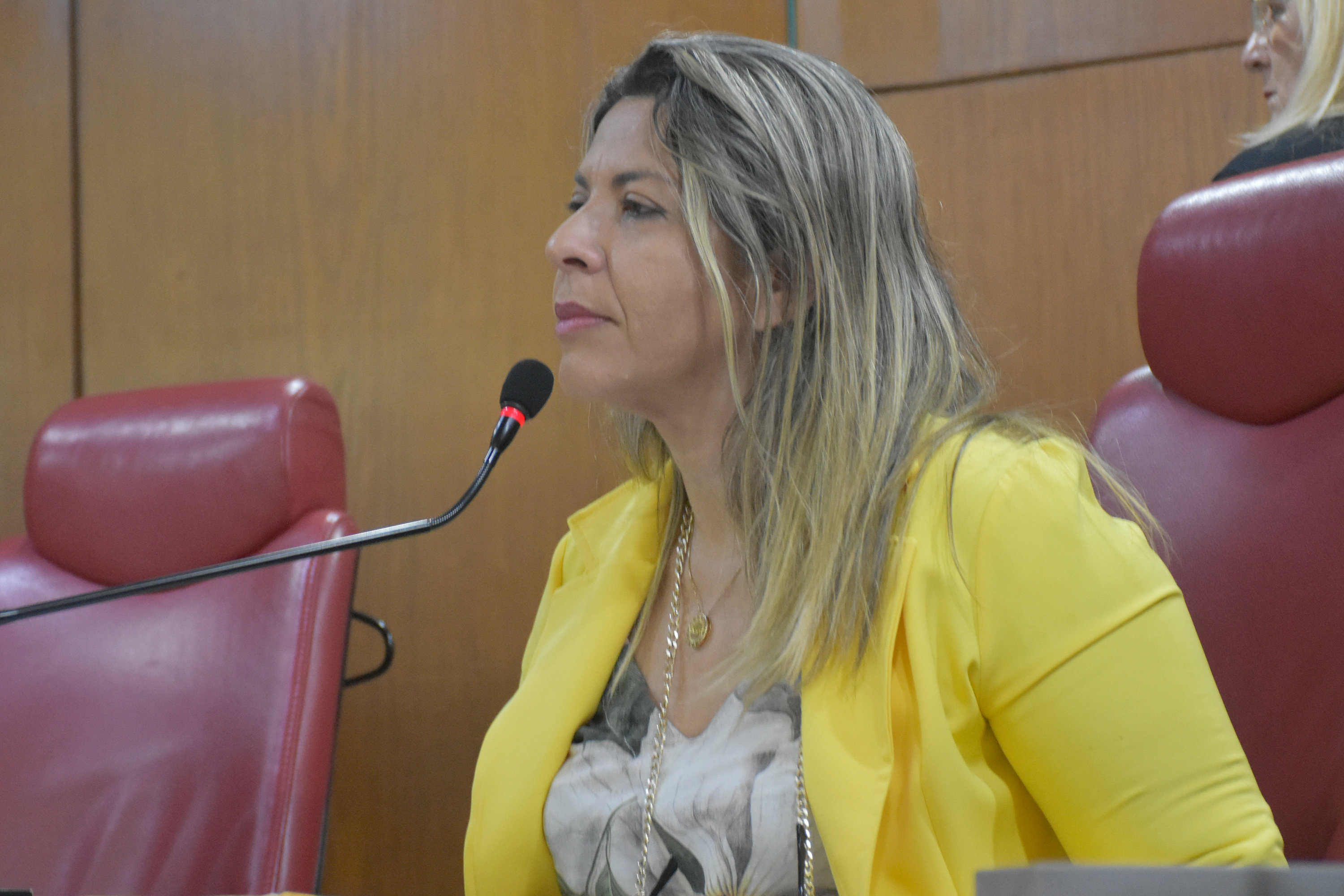 27.02.2020_Sessão Ordinária. Olenildo (26).JPG