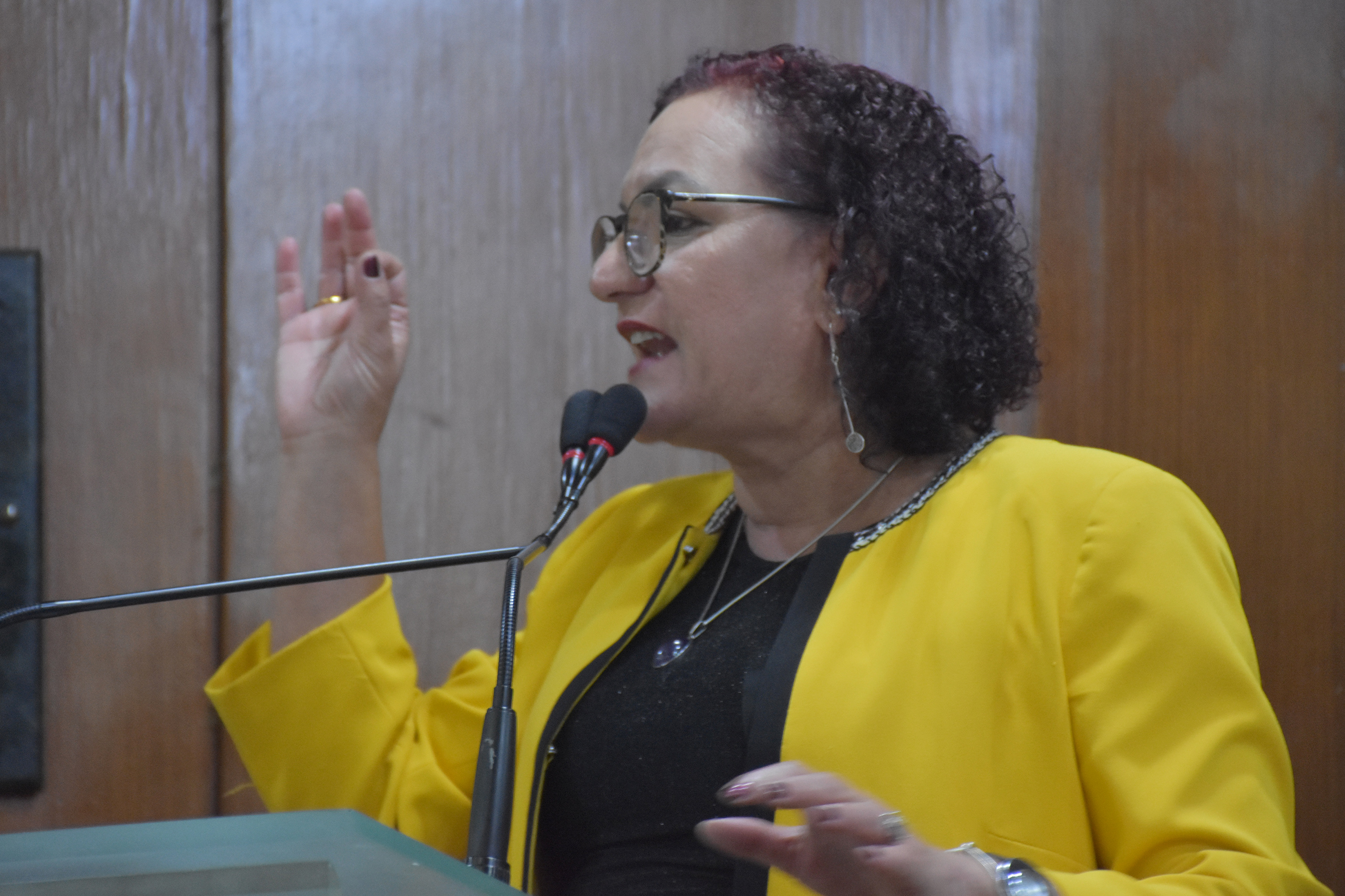 27.08.2019_Sessão Ordinária Olenildo (28).JPG