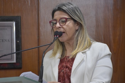 27.08.2019_Sessão Ordinária Olenildo (65).JPG