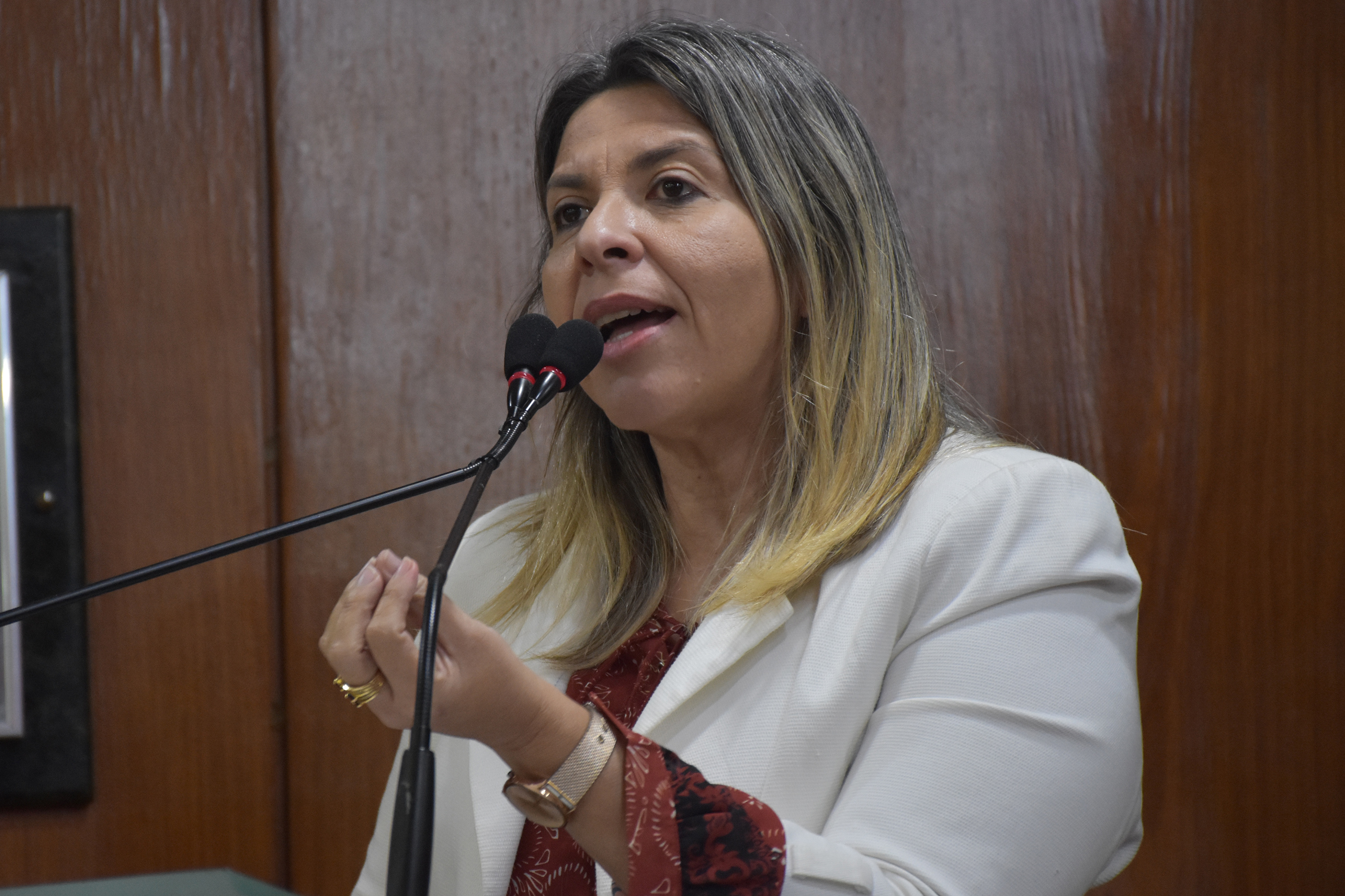27.08.2019_Sessão Ordinária Olenildo (75).JPG