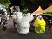 Ala ursas encerram desfiles do Carnaval Tradição