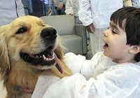 Aprovado projeto que permite visita de animais de estimação a tutores em hospitais municipais