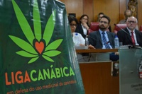 Câmara da Capital discute uso terapêutico e farmacológico da maconha