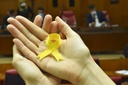 Câmara de João Pessoa adere à campanha Setembro Amarelo