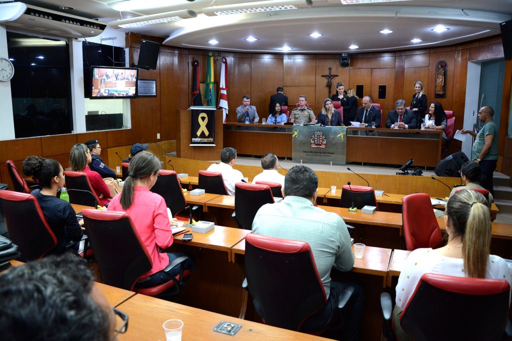 CMJP debate dez medidas de segurança nas escolas e creches da Capital