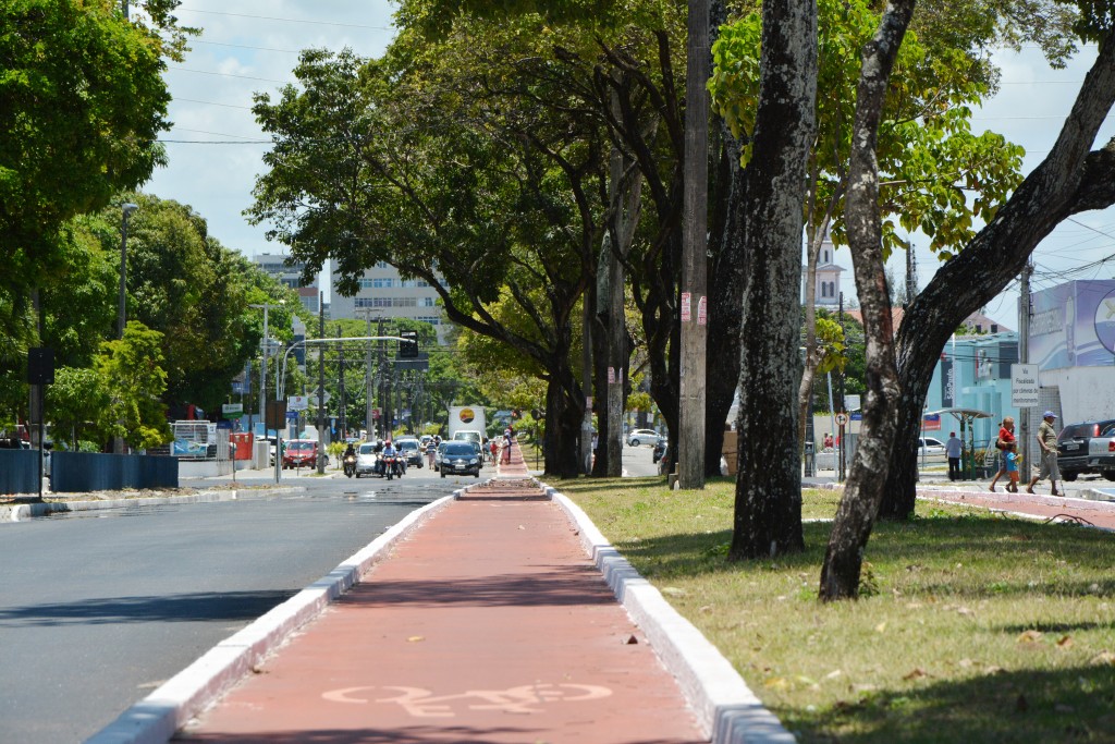 Projeto prevê a realização de uma campanha permanente de arborização na Capital