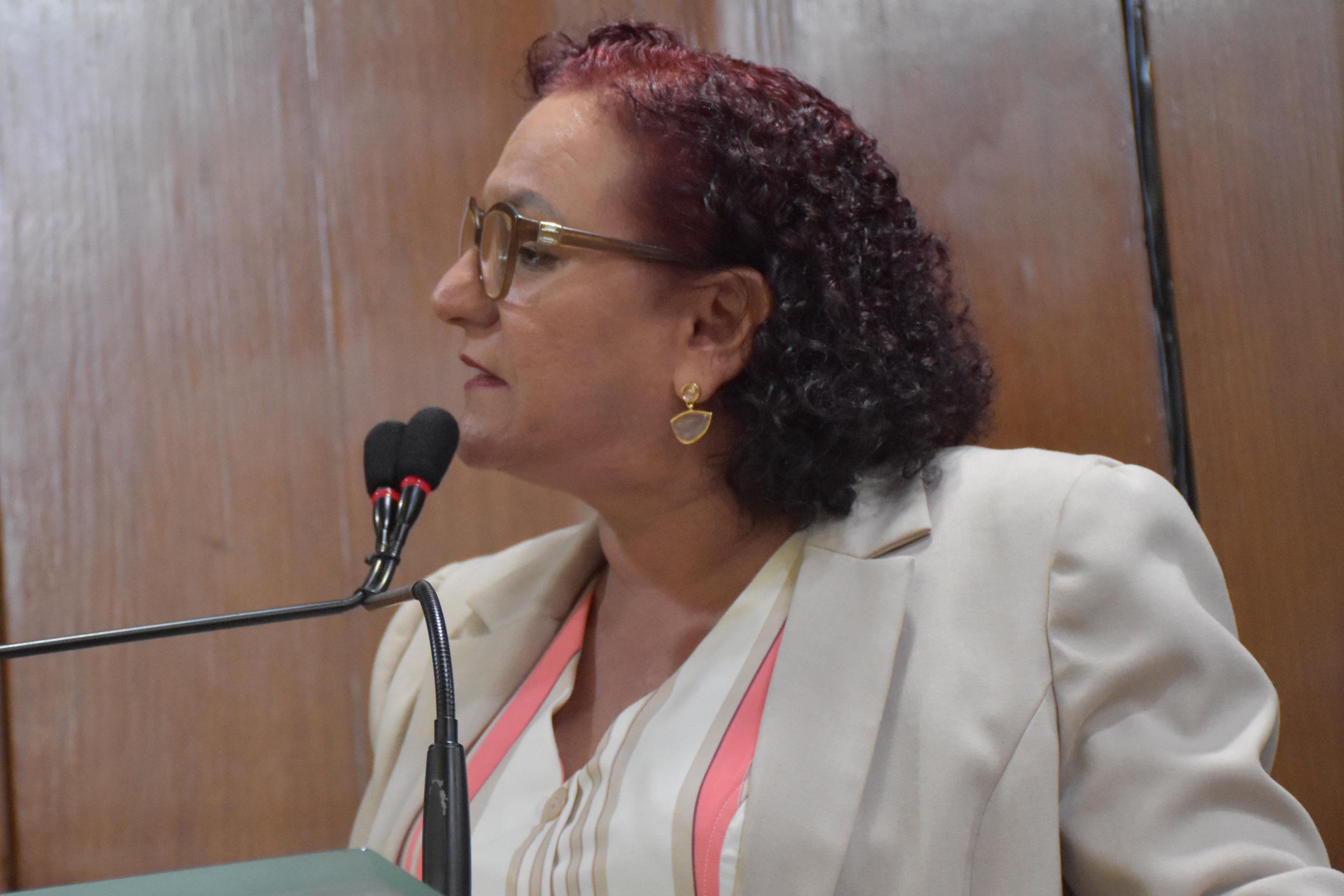 Vereadora apresenta Indicação para Parque Linear dos Bancários