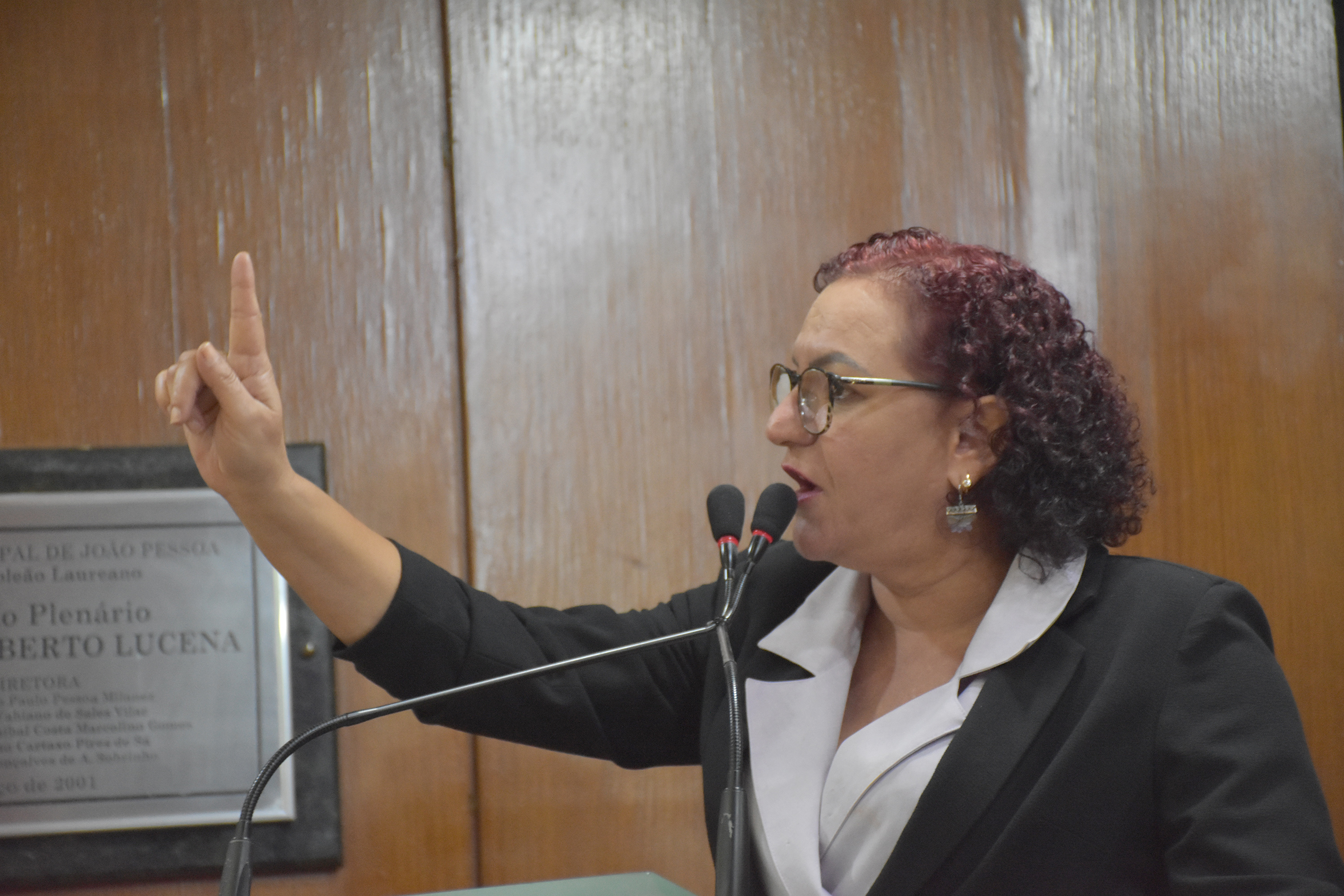 Vereadora celebra os 13 anos da Lei Maria da Penha